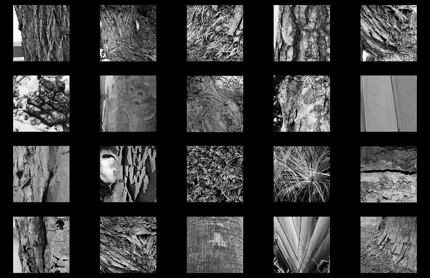 Nature 1